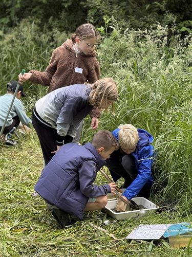 Natuur wordt klaslokaal voor Bocholter kinderen - Bocholt
