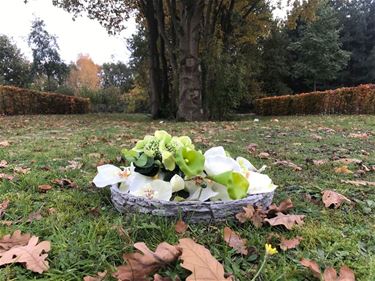 Natuurbegraafplaats in Beringen-Mijn - Beringen