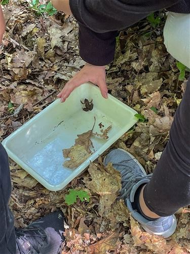 Natuureducatie op Resterheide - Hechtel-Eksel