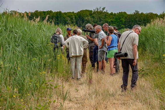 Natuurfotografie voor groentjes - Bree