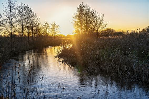 Natuurfront naar Raad tegen Nyrstar-lozing - Pelt