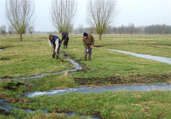 Natuurgebied De Wateringen volledig in kaart - Lommel