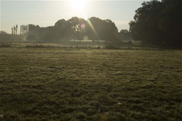 Natuurherstel in Koersel zeer waardevol - Beringen