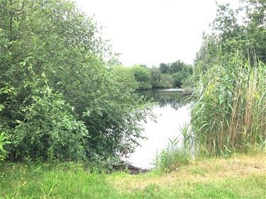 Natuurherstelwerken Hageven en Turfven van start - Pelt