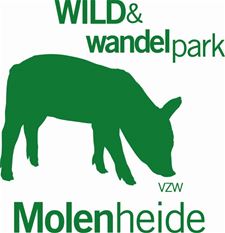 Natuurherstelwerken in park Molenheide - Houthalen-Helchteren