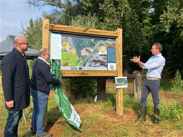 Natuurherstelwerken Schaffen en Halen - Beringen