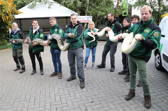 Natuurhulpcentrum vangt twee reuzenslangen op - Oudsbergen