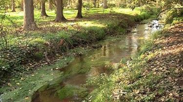 Natuurpunt-afdelingen samen in 'Regio Dommeldal'