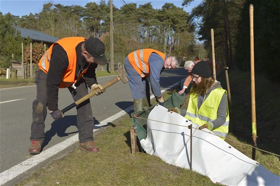 Natuurpunt Beringen klaar voor paddenoverzet - Beringen