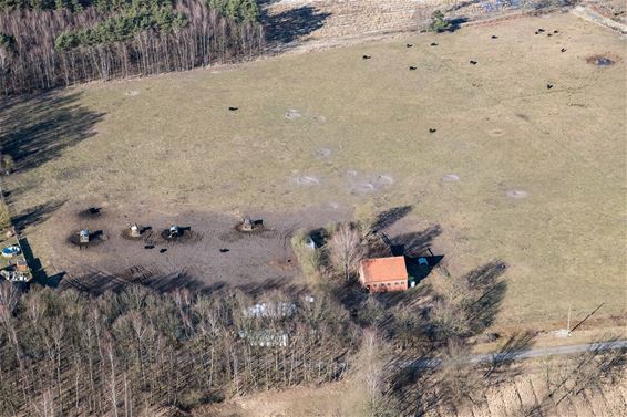 Koersel Natuurpunt Beringen - Beringen