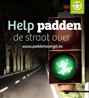 Natuurpunt zoekt paddenoverzetters - Beringen