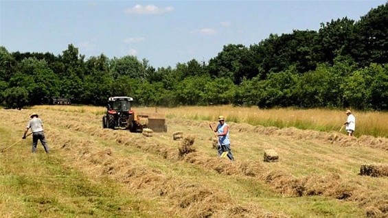 Natuurpunters trotseren de hitte - Lommel