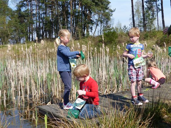 Natuurspeurdertjes in actie - Beringen