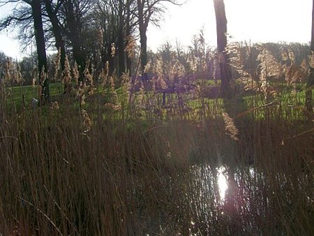 Natuurwandeling van 'Mep Die car' - Hamont-Achel