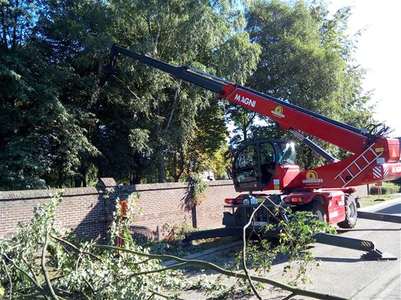 Natuurwerken aan oude kerkhof van start - Hamont-Achel