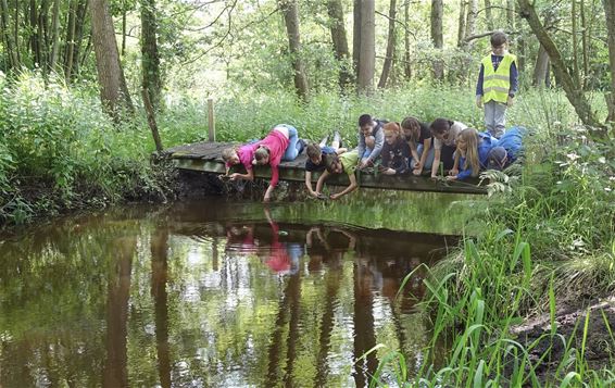 Natuurwetenswaardigheden beleven en ervaren - Oudsbergen