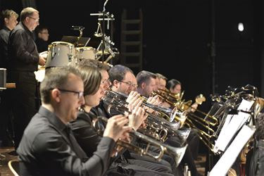 Neanias zoekt muzikaal talent - Beringen