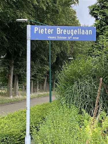 Nederlanders geven toe: Breugel is Belgisch - Peer