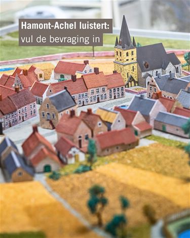 Neem jij deel aan de bevolkingsbevraging? - Hamont-Achel