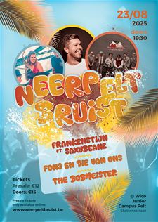 Neerpelt Bruist: muziek, sfeer en feest - Pelt