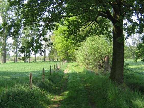 Neerpelt wint Gouden Spoor van vzw Trage Wegen - Neerpelt