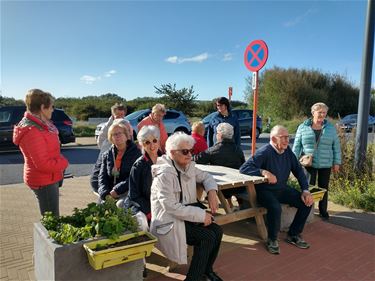 Neos Beringen naar Oostende - Beringen