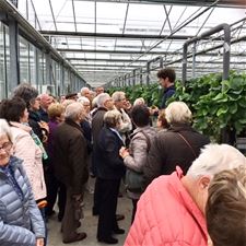 Neos Lommel bezocht Hoogstraten - Lommel