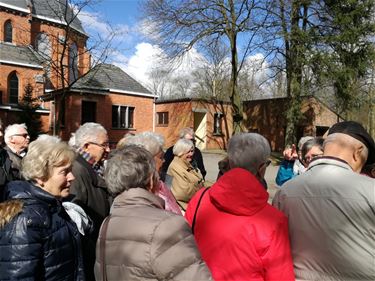 Neos opnieuw toerist in eigen stad - Lommel