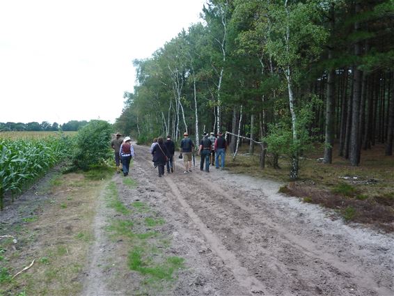 Net niet gewonnen (6) - Lommel