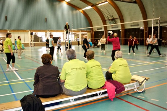 Netbal voor de vijftigplusser - Overpelt