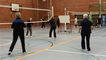 Netballen in De Posthoorn - Hamont-Achel