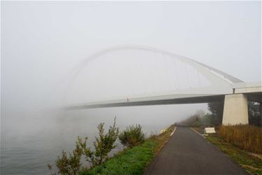 Nevel en mist in de ochtend - Beringen