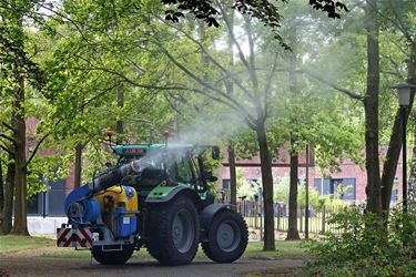 'Niet meer massaal spuiten tegen processierups' - Pelt