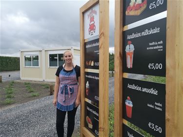 Nieuw: aardbei drive-in - Lommel