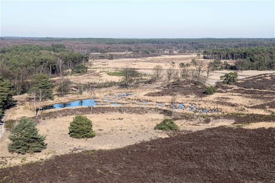 Nieuw beheersplan Kamp van Beverlo