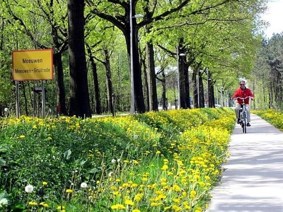 Nieuw bermbeheersplan goedgekeurd - Meeuwen-Gruitrode