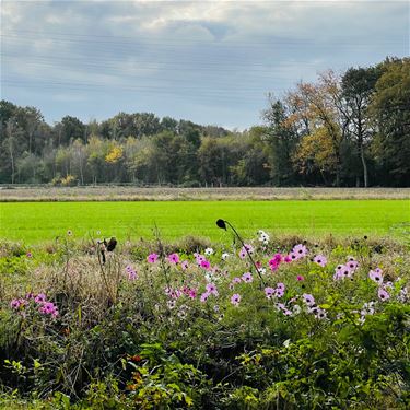 Nieuw bestek voor het maaien van bermen - Beringen