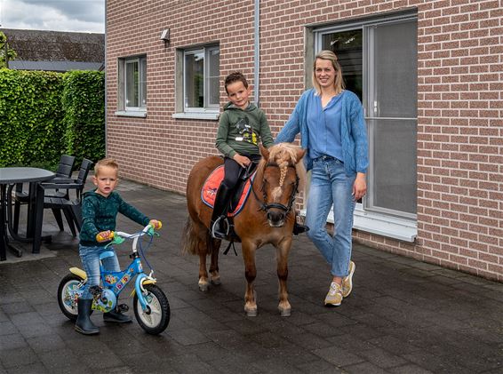 Nieuw boerderijverblijf in Pelt - Pelt