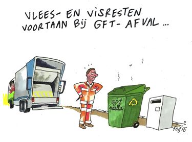 Nieuw in 2019 (3)