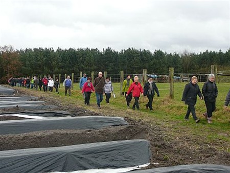 Nieuw wandeljaar voor De Dommeltrippers - Neerpelt