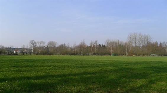 Nieuwbouw TIO dichter bij centrum Neerpelt - Neerpelt