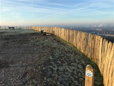 Nieuwe afrastering terril - Beringen