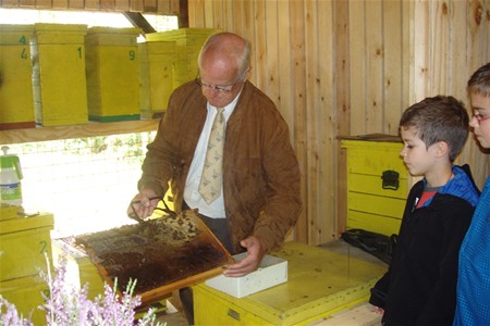 Nieuwe bijenhal in de Wateringen - Lommel