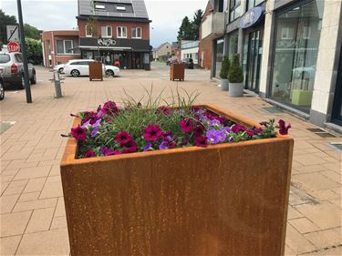 Nieuwe bloembakken in straatbeeld - Beringen