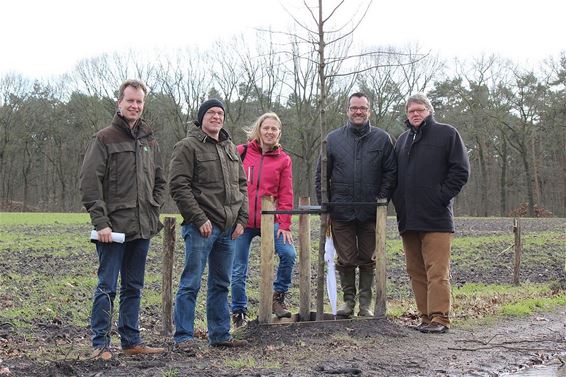 Nieuwe bomen voor vleermuizen - Hamont-Achel