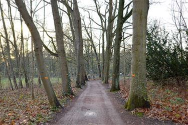 Nieuwe dreef voor park directeurswoning - Beringen