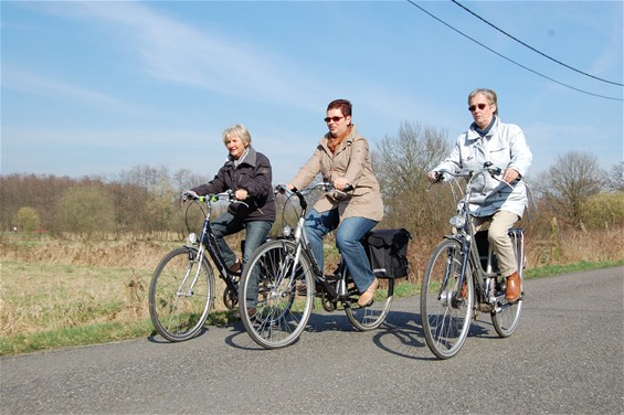 Nieuwe fietsroute 'De wuivende dennenroute' - Lommel