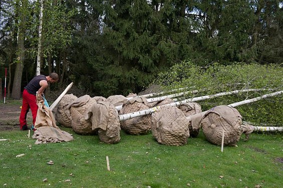 Nieuwe installaties in het Klankenbos - Neerpelt