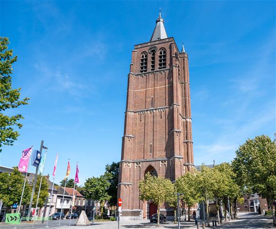 Nieuwe kans om de Reus der Kempen te ontdekken - Peer