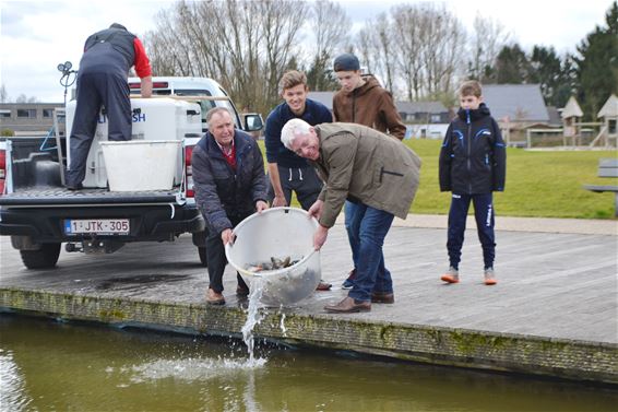 Nieuwe lading vis voor vijver Barrierspark - Lommel